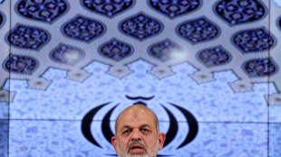 Conservadores vencem sem surpresas legislativas marcadas por absten&ccedil;&atilde;o no Ir&atilde;