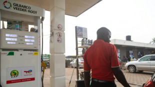 Emisiones r&eacute;cord de CO2 en 2022, aunque menos de lo previsto gracias a las energ&iacute;as verdes