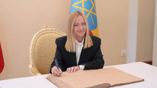 Meloni, battersi ancora sui dazi, vediamo le esenzioni