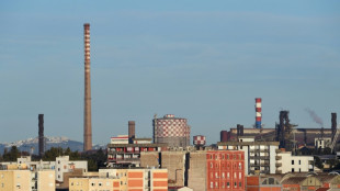 Italie: vers une mise sous tutelle de l'Etat de l'aci&eacute;rie g&eacute;ante ex-Ilva