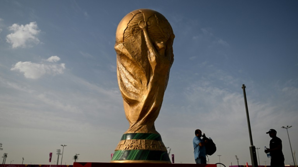 Mondial: au bout d'un chemin cahoteux, le Qatar &agrave; un jour du lever de rideau