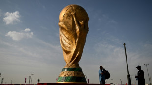 Mondial: au bout d'un chemin cahoteux, le Qatar &agrave; un jour du lever de rideau