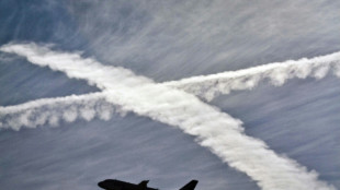 Untersuchung: Flugst&ouml;rungen kosten dutzende Milliarden und belasten die Umwelt