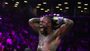 Ex-boxing champ Deontay Wilder arrested on gun charge: police