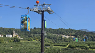 La funivia delle mele è 'orgogliosamente Made in Italy al 100%'