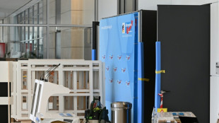Gr&uuml;ne geben Merz Mitschuld am Erstarken der AfD - und fordern Parteiverbot