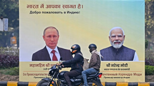 Defensa y comercio en el menú del viaje de Putin a India