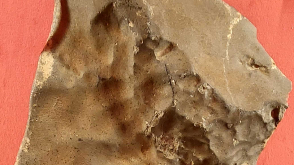 All'asta a NY più grande meteorite marziano esistente in Terra