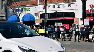 M&auml;rkte in Aufruhr: Tesla-Aktie im Sinkflug - symbolische Unterst&uuml;tzung von Trump
