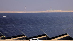 COP28 host UAE pledges to triple renewables