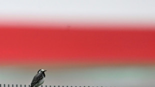 Kein Recht auf Laufen &uuml;ber Nachbargrundst&uuml;ck bei unbequemem Weg &uuml;ber eigenem Boden