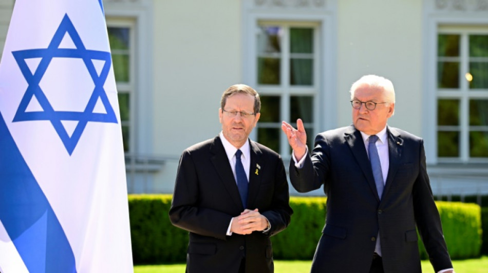 Steinmeier reist mit Israels Pr&auml;sident Herzog nach Jerusalem