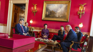 Xi a Trump, 'presto altre due occasioni per vederci, all'Apec e al G20'