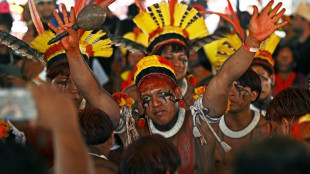 Demarca&ccedil;&atilde;o de terras, crucial para os ind&iacute;genas e o meio ambiente