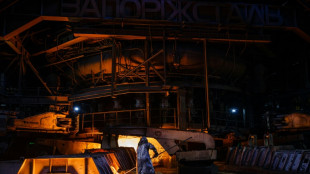 "Une chance de survie" dans les aci&eacute;ries d'Ukraine, v&eacute;ritables forteresses