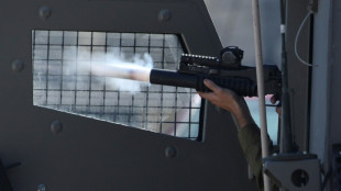 Fuerzas israel&iacute;es matan a dos palestinos en una incursi&oacute;n en Cisjordania