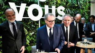 L&eacute;gislatives: liste de la majorit&eacute; bient&ocirc;t boucl&eacute;e, photo de famille mardi