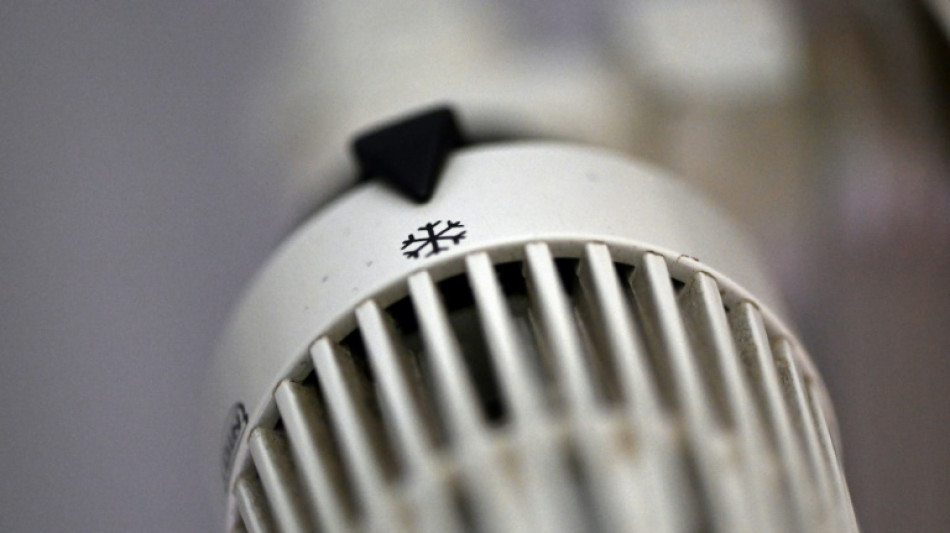 Alemania entrar&iacute;a en recesi&oacute;n si se cortara el suministro de gas ruso