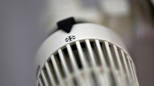 Alemania entrar&iacute;a en recesi&oacute;n si se cortara el suministro de gas ruso