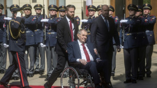 Tschechien gestattet rund 100 Staatsb&uuml;rgern Teilnahme an Ukraine-Krieg