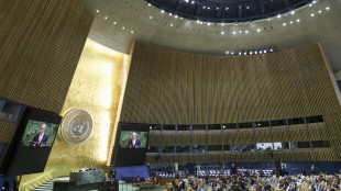 Casa Bianca, Trump avr&agrave; bilaterali con Zelensky e l'Ue