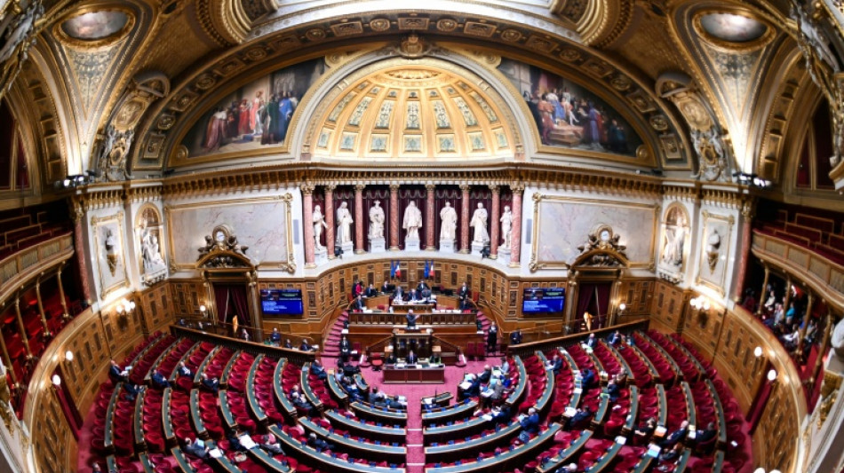 Budget: le S&eacute;nat fait barrage &agrave; la taxation des superprofits