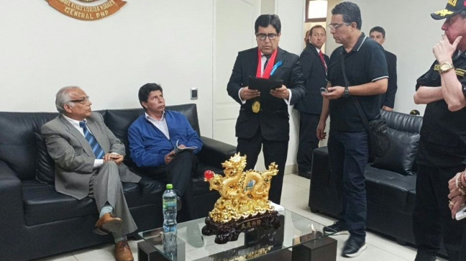 P&eacute;rou: Pedro Castillo, un &eacute;ph&eacute;m&egrave;re pr&eacute;sident lui aussi destitu&eacute; par le Parlement