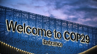 Azerbaij&atilde;o tenta relan&ccedil;ar COP29 ap&oacute;s incidente com Fran&ccedil;a e sa&iacute;da da Argentina