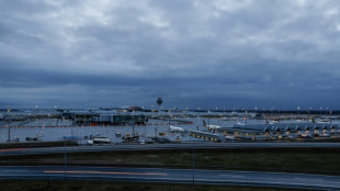 Un viajero sube dos veces sin tiquete a un avi&oacute;n en Alemania