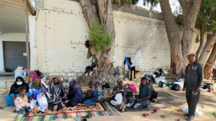 Fears of Sudan refugee influx to West misplaced: US official