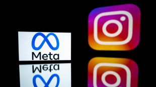 T&uuml;rkei sperrt Zugang zu Online-Netzwerk Instagram