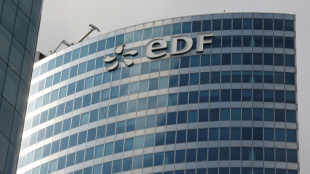 "Deux r&eacute;acteurs par an": le pari tr&egrave;s ambitieux d'EDF pour relancer le nucl&eacute;aire