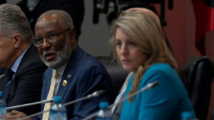 Hait&iacute; pide "formalmente" ayuda  internacional para enfrentar crisis de seguridad