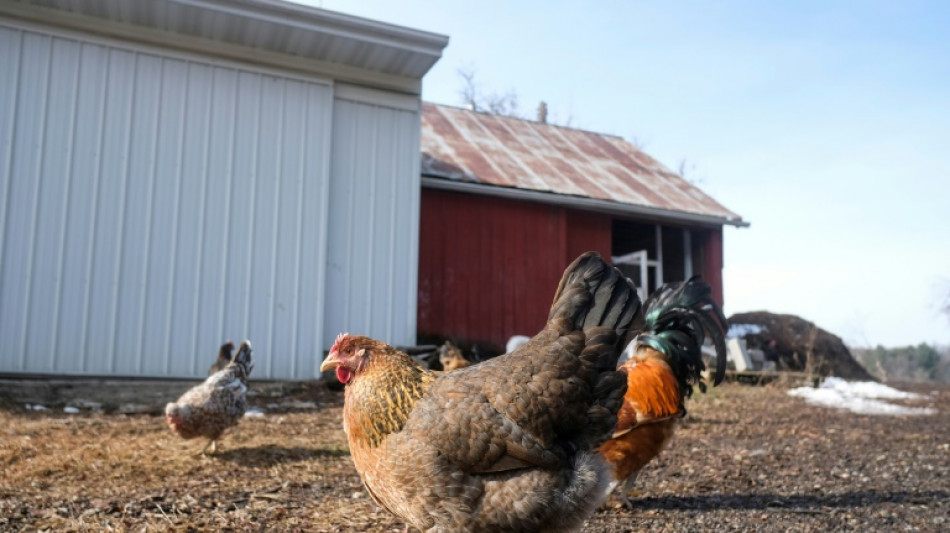 La inflaci&oacute;n en EEUU se moder&oacute; nuevamente a un 6,0% interanual en febrero