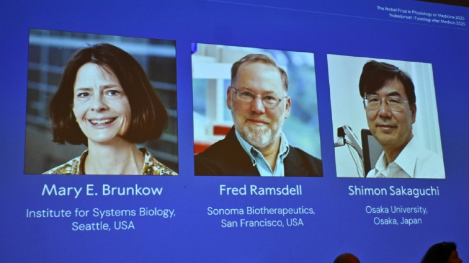 Medizin-Nobelpreis f&uuml;r drei Immunforscher aus den USA und Japan