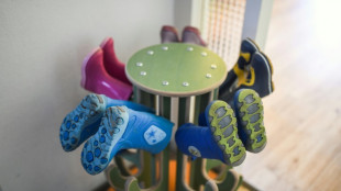 Karlsruhe: Trotz Verdachts auf heimliche Leihmutterschaft bleiben Kinder vorl&auml;ufig zu Hause