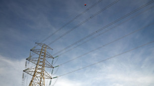 El gobierno de España dice que tardará "muchos días" en conocer las causas del apagón