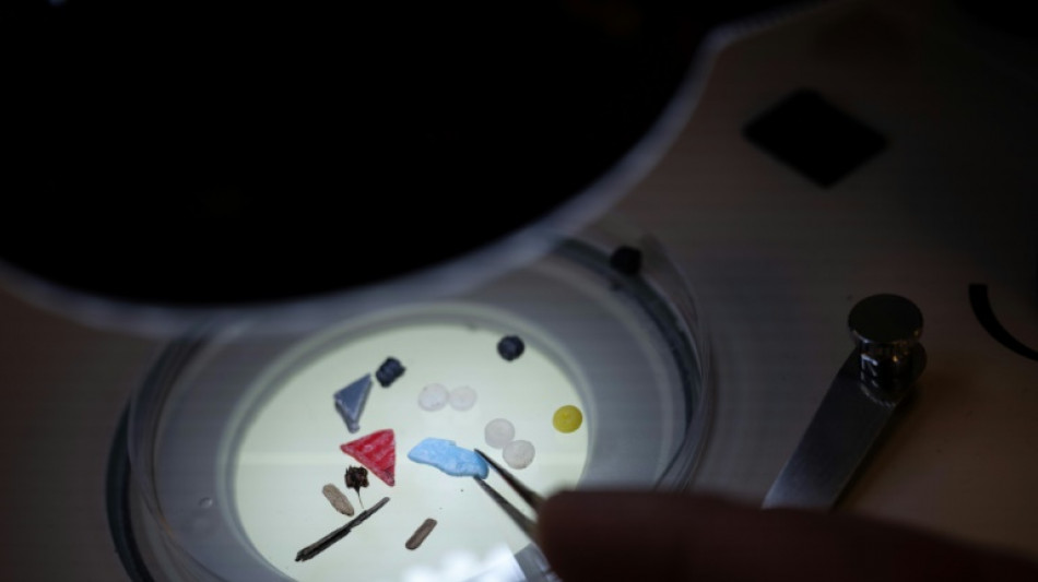 Studie: Mikroplastik-Verschmutzung europ&auml;ischer Fl&uuml;sse wie Elbe und Rhein "alarmierend"