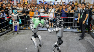 IA: &agrave; Shanghai, des robots humano&iuml;des t&eacute;moignent des ambitions chinoises