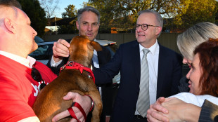 Australia al voto, il premier esorta a 'spostare le montagne'