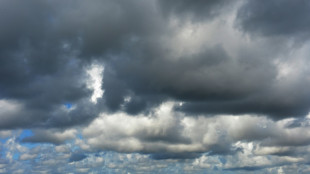 Verwaltungsgericht billigt Aufl&ouml;sung von Punker-Protestcamp auf Sylt
