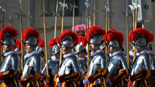 Defending the pope: behind the Swiss Guards' armour