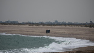&iquest;C&oacute;mo explicar la ola de coca&iacute;na en las costas francesas?