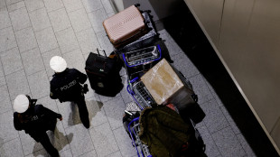 Berlino ha rimpatriato 81 afghani, decisivo l'aiuto del Qatar