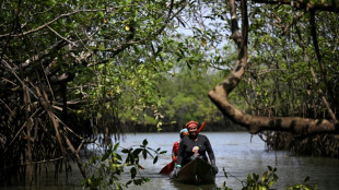 Colombie: la victoire de populations locales pour prot&eacute;ger leur environnement pr&eacute;serv&eacute;