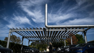 L'Assembl&eacute;e adopte des mesures pour acc&eacute;l&eacute;rer sur l'&eacute;nergie solaire