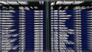 Allemagne: le secteur des transports en gr&egrave;ve pour de meilleurs salaires