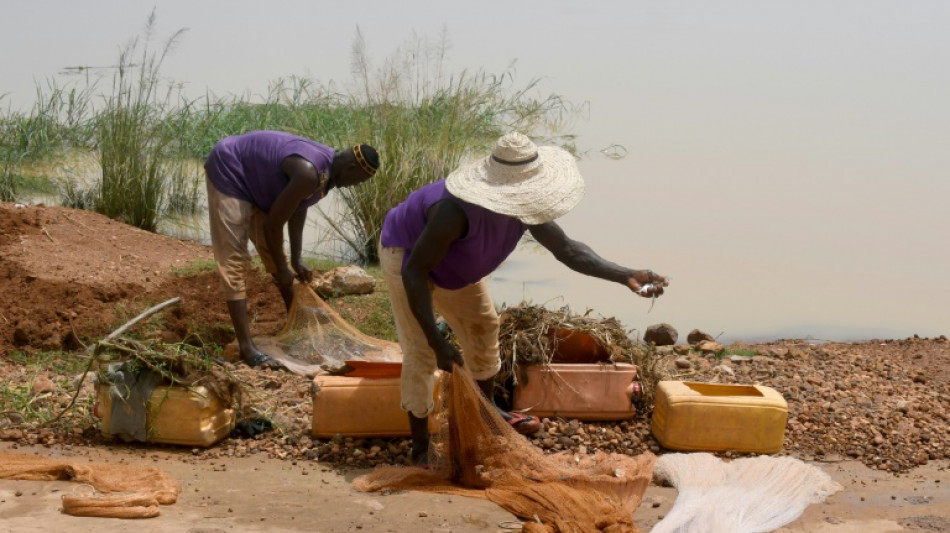 La amenaza yihadista se perfila en la frontera entre N&iacute;ger y Ben&iacute;n
