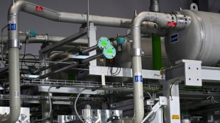 CO2-armer Wasserstoff: China kontrolliert bald H&auml;lfte der Elektrolyse-Kapazit&auml;ten