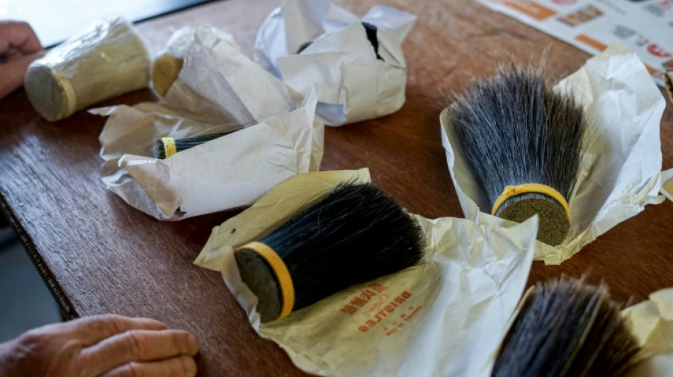 Pr&eacute;parateur de poils de sanglier, un artisanat menac&eacute; d'extinction